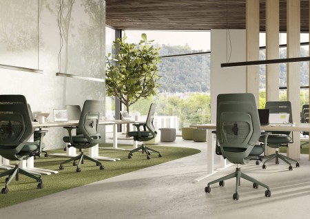 Der neue ergonomische Bürostuhl Asiento - Ein Schritt zu einem gesunden Arbeitsleben